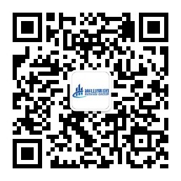 岜山集团有限公司