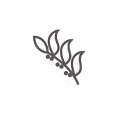 中医药